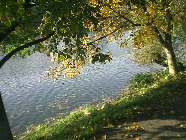 Neckar im Herbst